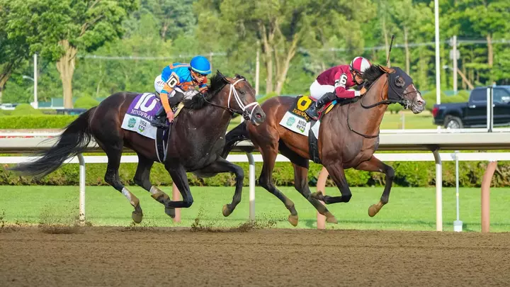 2026 Breeders' Cup Classic proqnozları, ehtimallar, atlar, vaxt, start mövqeləri: Elit mütəxəssisdən təəccüblü seçimlər