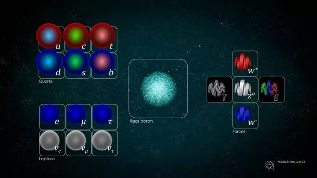 Do the three quantum forces all unify together?
