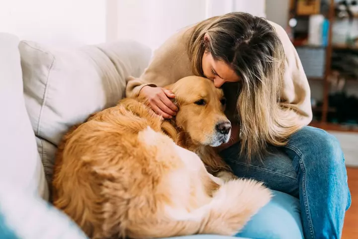 Why Does My Dog Always Steal My Spot? The Reason Will Warm Your Heart
