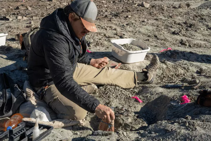 New Possible Dinosaur Species Discovered In Dig Near National Park