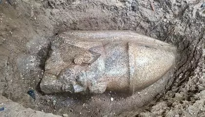 A Farmer in Egypt Stumbled Upon a Pink Stone and Called the Authorities. They Found the Remains of Two Colossal Statues of Ramses II Beneath the Property