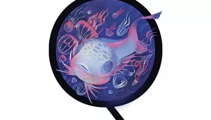 How Do Sea Creatures Survive the Intense Pressure of Living Deep in the Water? And More Questions From Our Readers