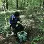 DNA analysis identifies root-dwelling fungi as potential keystone species in forest microbial communities
