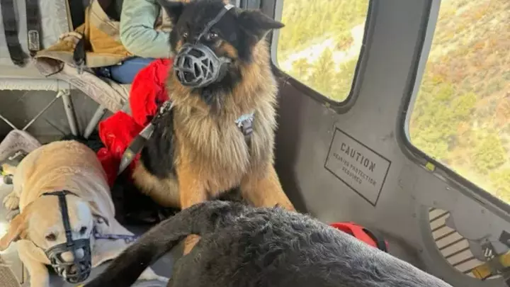 “When They Say Go, Just Go.” How a Colorado Couple Survived 11 Hours Inside a Flooded Motorhome.