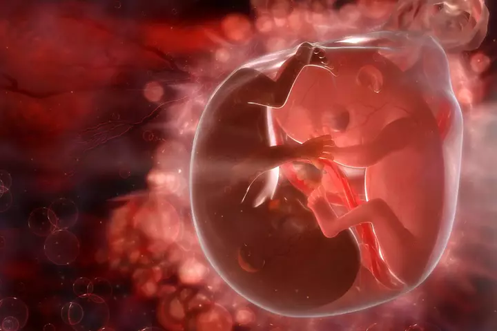 Rare cancer spread between twins in utero