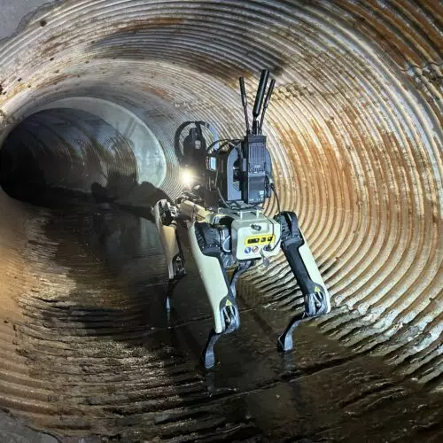 Boston Dynamics employees want to block sale of robot dogs to ICE