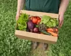 Plan unveiled to increase share of land farmed organically in England to 10%