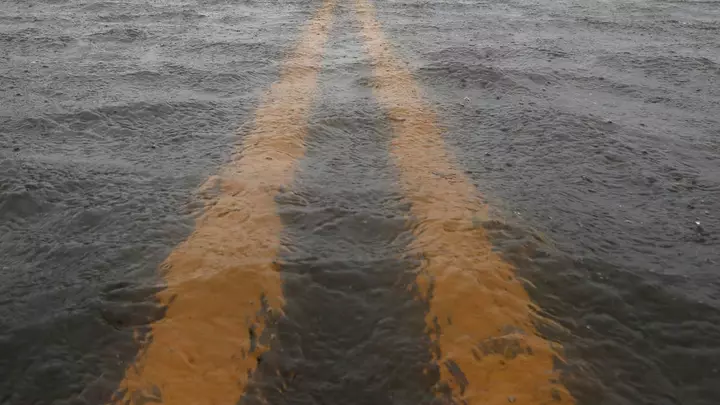 New Forecast Shows 11 States Facing Freeze Warnings as Nor’easter Brings 50 MPH Gusts and Coastal Flooding